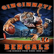 TS013 Cincinatti Bengals